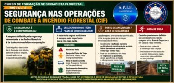 Protegido: AVALIAÇÃO CURSO EAD BRIGADISTA FLORESTAL 3º MÓDULO