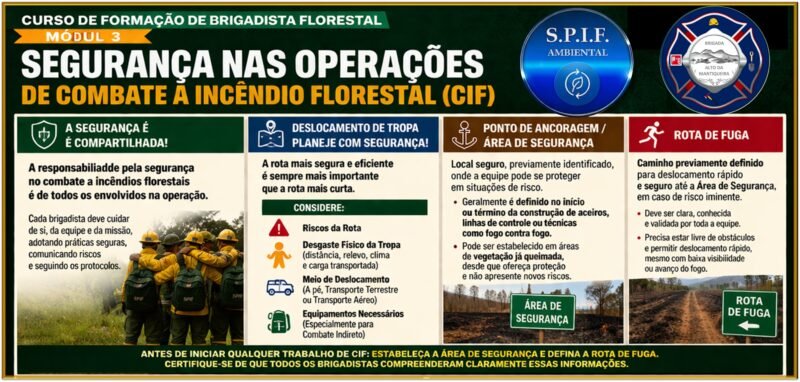 Protegido: AVALIAÇÃO CURSO EAD BRIGADISTA FLORESTAL 3º MÓDULO
