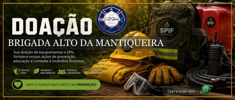 INCÊNDIOS FLORESTAIS